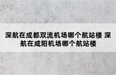 深航在成都双流机场哪个航站楼 深航在咸阳机场哪个航站楼